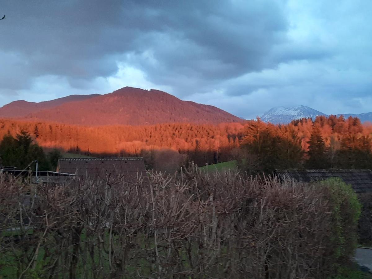 Haus Mit Bergblick Villa Siegsdorf Kültér fotó