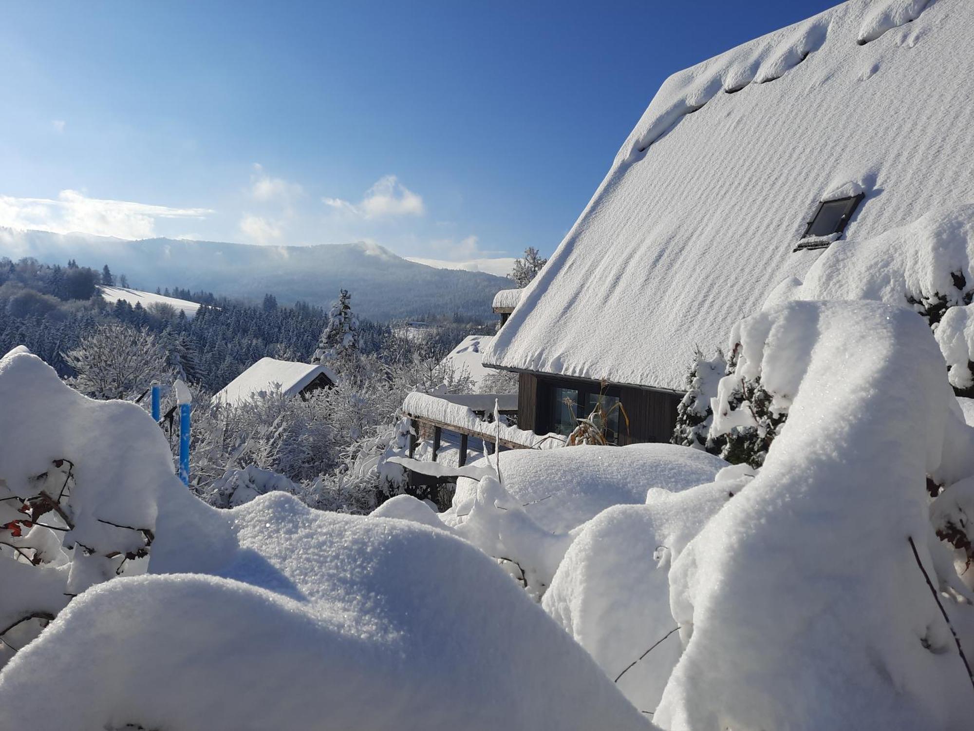 Haus Mit Bergblick Villa Siegsdorf Kültér fotó